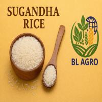 SUGANDHA STEAM RICE 